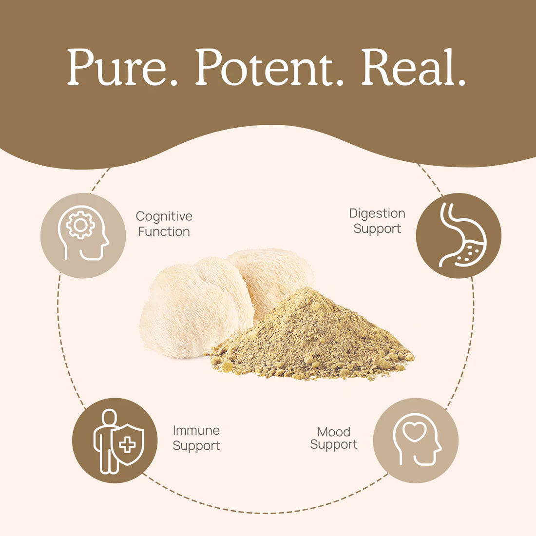 Lions Mane Mushroom Powder