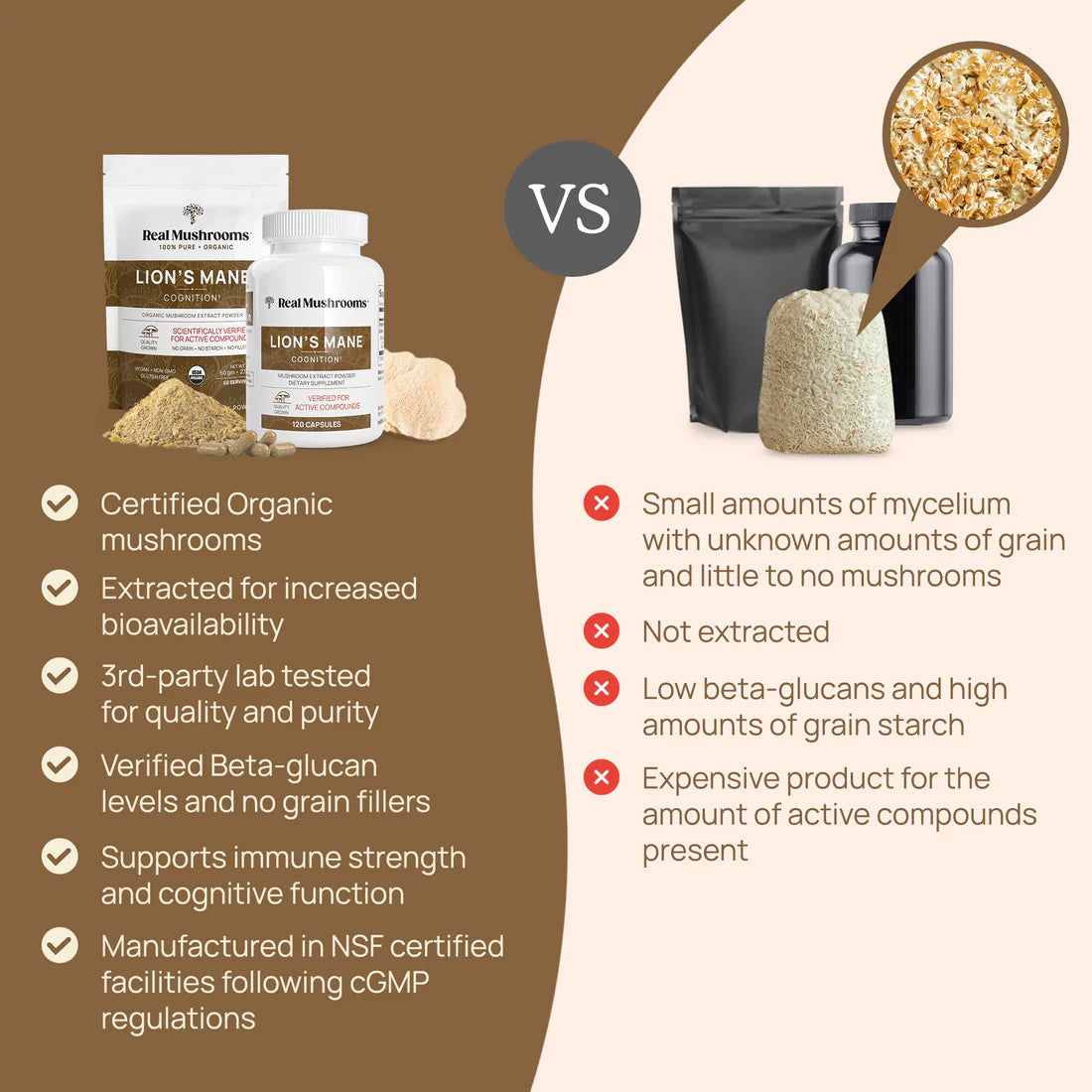 Lions Mane Mushroom Powder